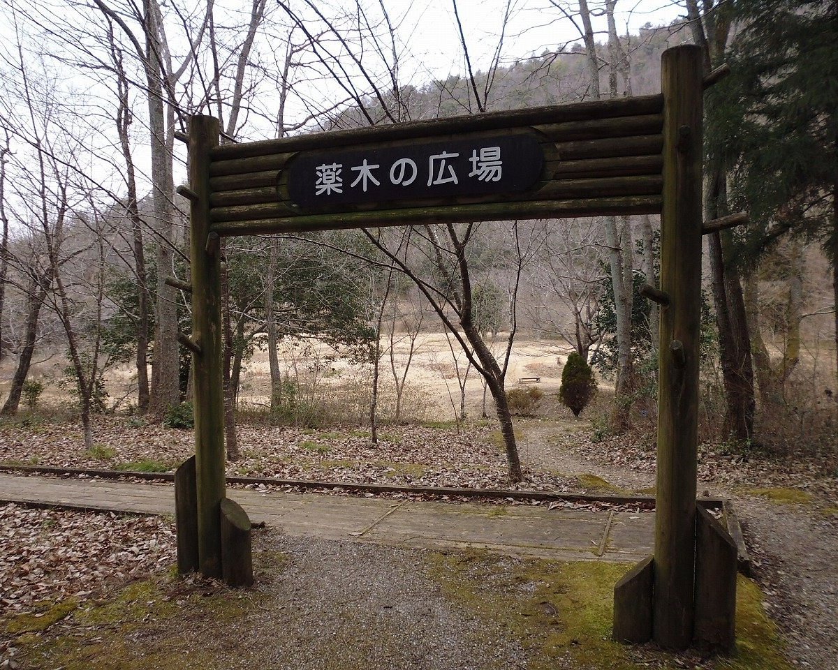 🌳 나가라가와 만남의 숲 사계절의 숲 센터 (나가라가와 후레아이노모리 시키노모리 센터) 이미지 1